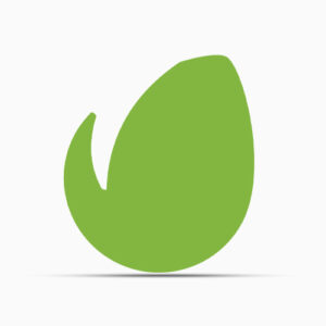 Envato Elements